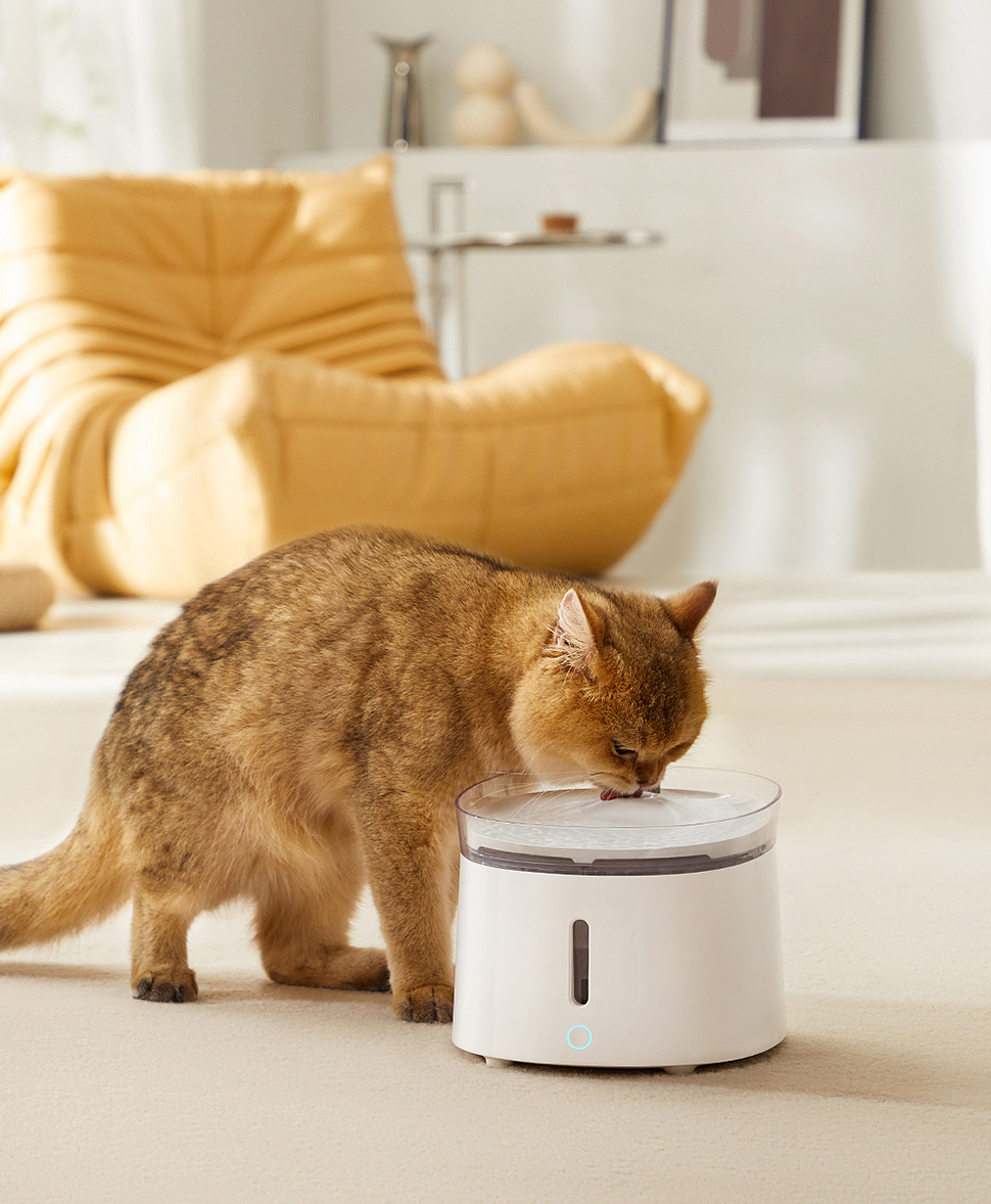 Mga produktong alagang hayop