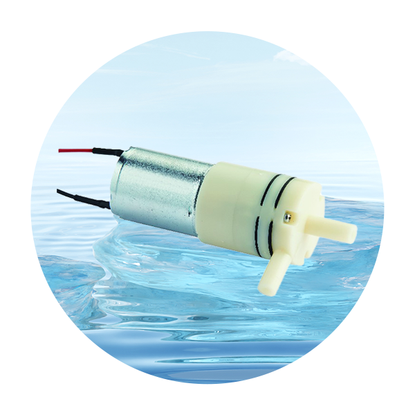 Micro water pump