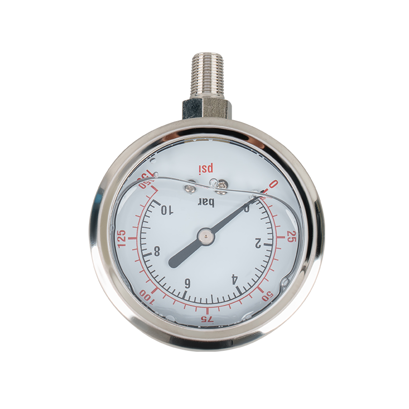 PG2.5 Reverse osmosis system gauge